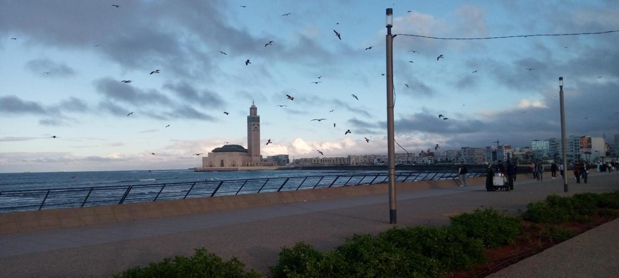 Moroccan Teguemi คาซาบลังกา ภายนอก รูปภาพ